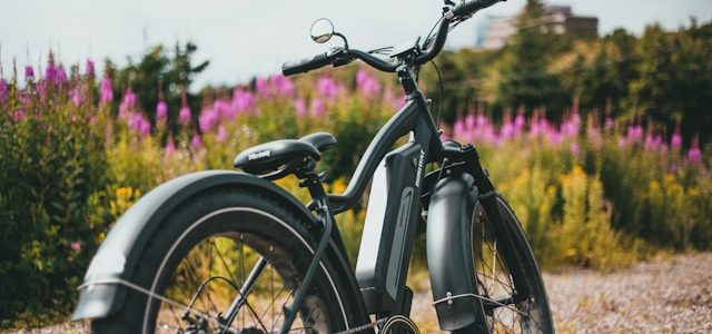 Vélo électrique