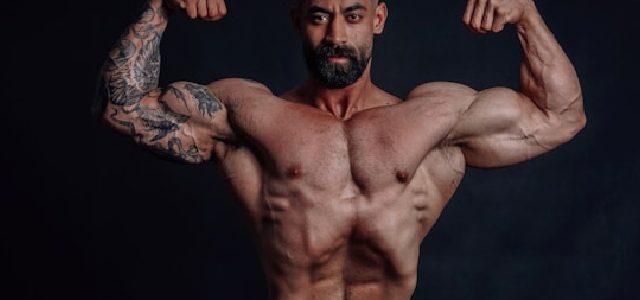 musculation full-body