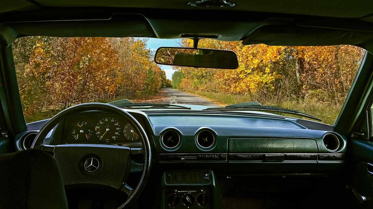Intérieur d'une Mercedes, route bordée d'arbres d'automne visibles